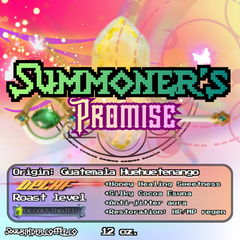 Summoner's Promise