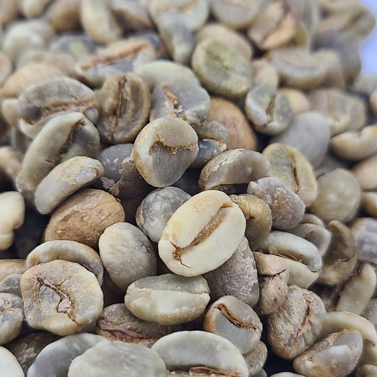Ethiopia Guji Shakiso Natural