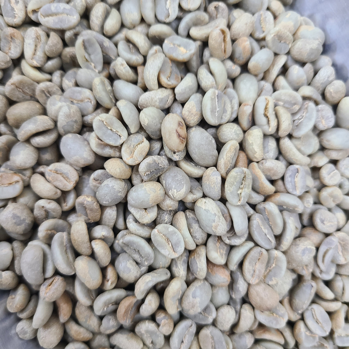 Brazil Alta Mogiana